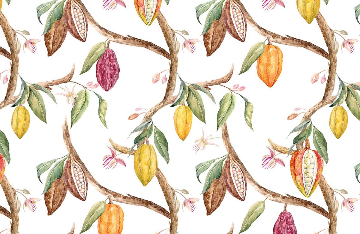 kitchen-wallpaper-fruit-image