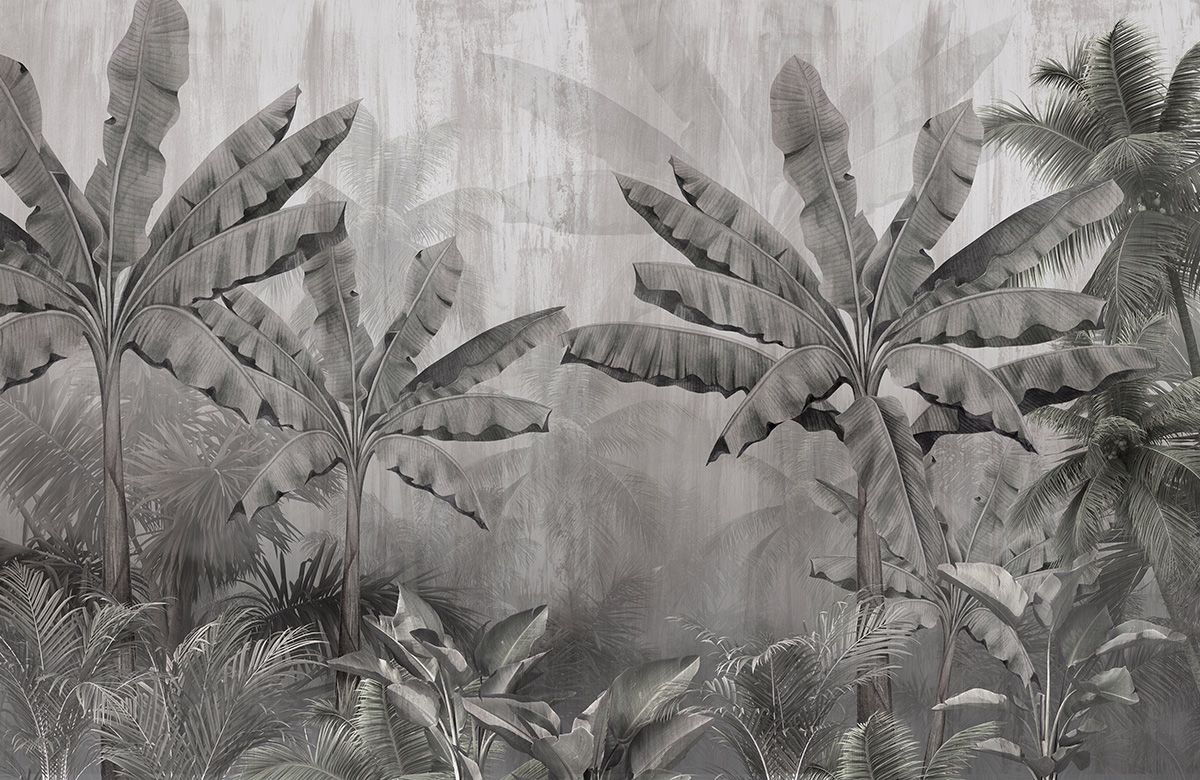 black-and-white-forest-wallpaper-image