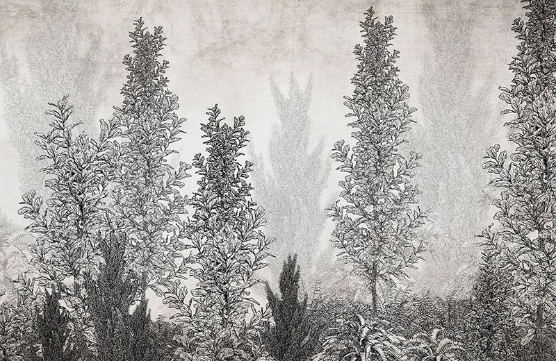 nature-wallpaper-sketch-design