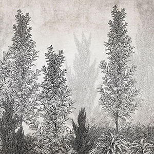 Botanical