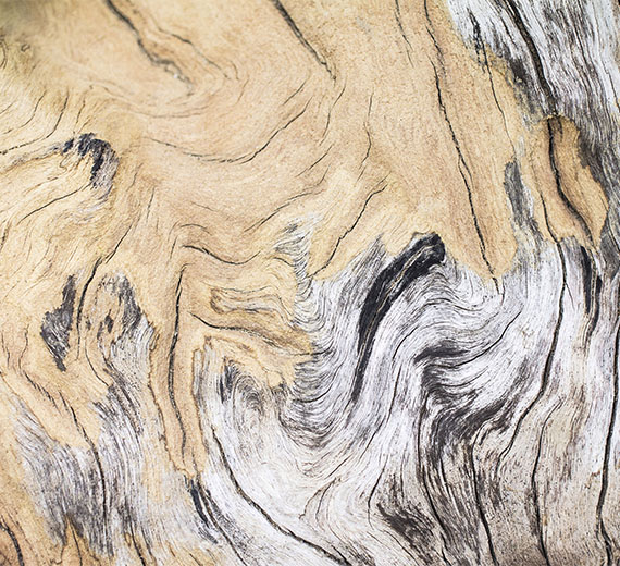 wood-grain-wallpaper-thumb-image
