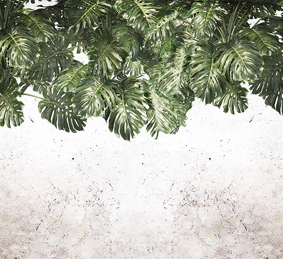 monstera-leaves-wallpaper-thumb-image